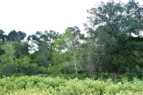 9590 Maynard Hallmark Road Flatonia TX 78941