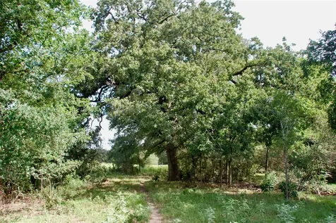 9590 Maynard Hallmark Road Flatonia TX 78941
