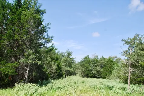 9590 Maynard Hallmark Road Flatonia TX 78941