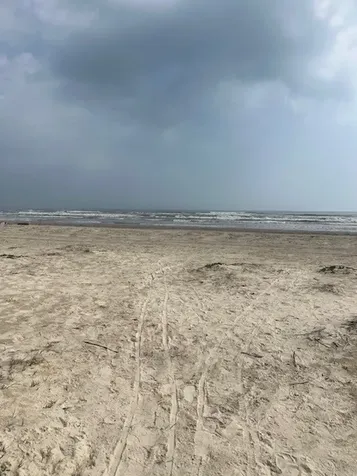 51 Lot 51 Oleander Drive Galveston TX 77554