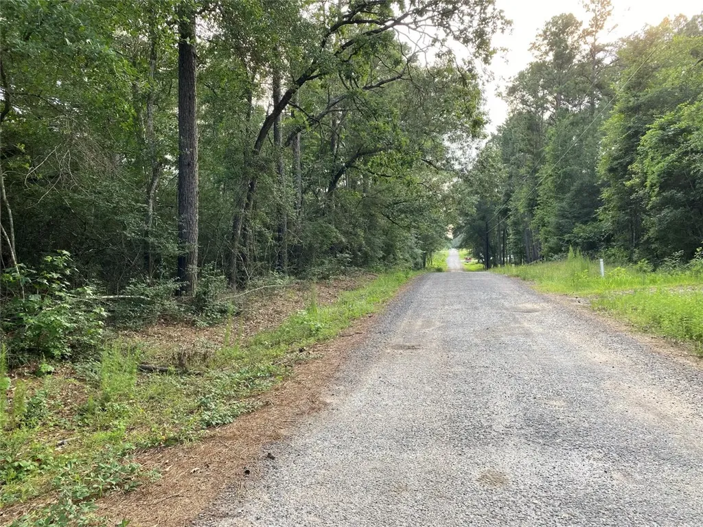 Tbd Greenway Drive Plantersville TX 77363
