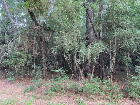 Tbd Greenway Drive Plantersville TX 77363