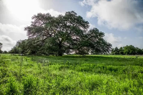 Tract 12 S Nassau Road Round Top TX 78954