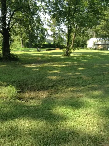 26340 Blackberry Lane New Caney TX 77357