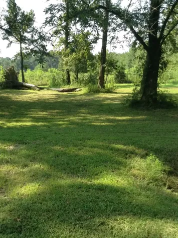 26340 Blackberry Lane New Caney TX 77357