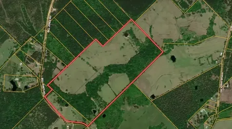 940 Bill Jones Road Groveton TX 75845