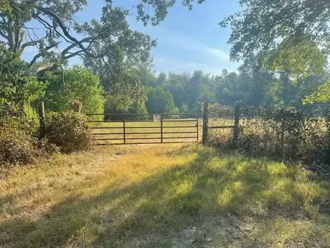 940 Bill Jones Road Groveton TX 75845