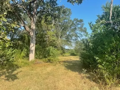940 Bill Jones Road Groveton TX 75845