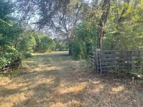 940 Bill Jones Road Groveton TX 75845