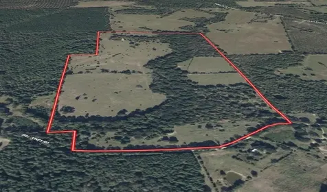 940 Bill Jones Road Groveton TX 75845