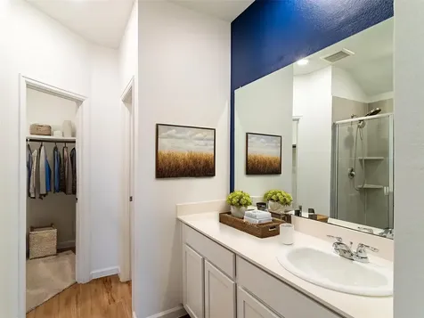 20914 Cropani Shadow Drive New Caney TX 77357
