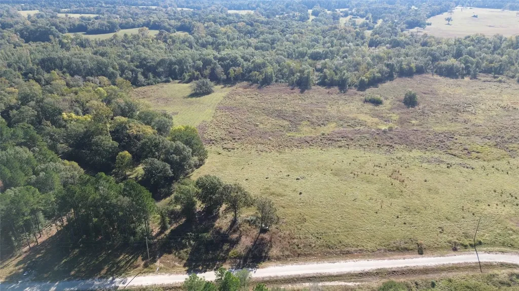 300 Buckhorn Creek Trail Crockett TX 75835
