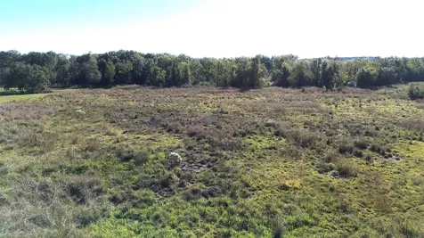 300 Buckhorn Creek Trail Crockett TX 75835