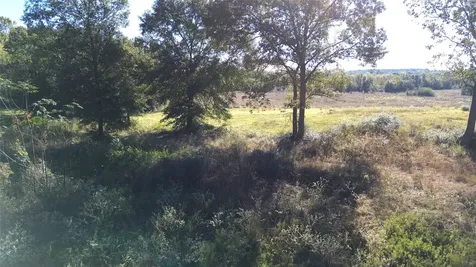 300 Buckhorn Creek Trail Crockett TX 75835