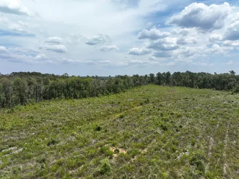 1 County Road 4085 Belgrade TX 75928