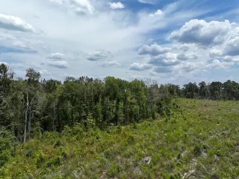 1 County Road 4085 Belgrade TX 75928