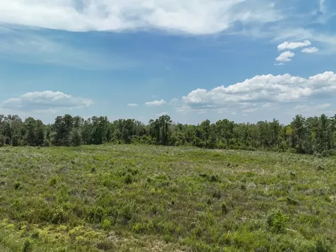 1 County Road 4085 Belgrade TX 75928
