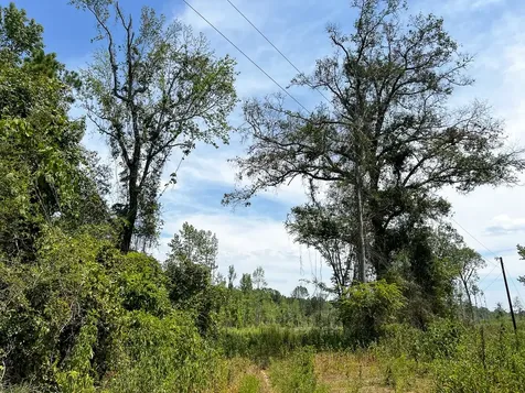 1 County Road 4085 Belgrade TX 75928
