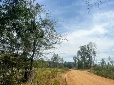 1 County Road 4085 Belgrade TX 75928