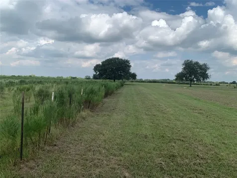 4314 Orange Hill Road Sealy TX 77474