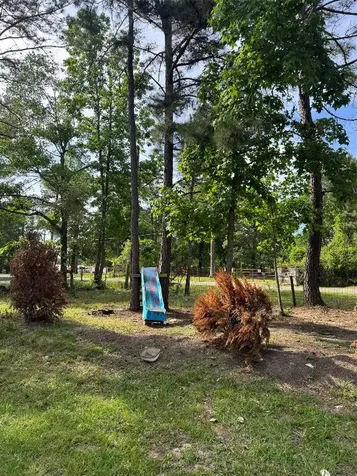 26327 Pinion Creek Road Magnolia TX 77355