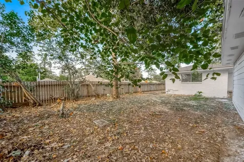 23131 Earlmist Drive Spring TX 77373