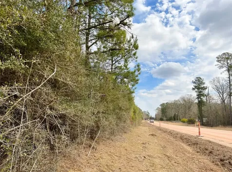 7 Fm 1746 Spurger TX 77660