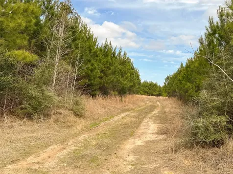 7 Fm 1746 Spurger TX 77660