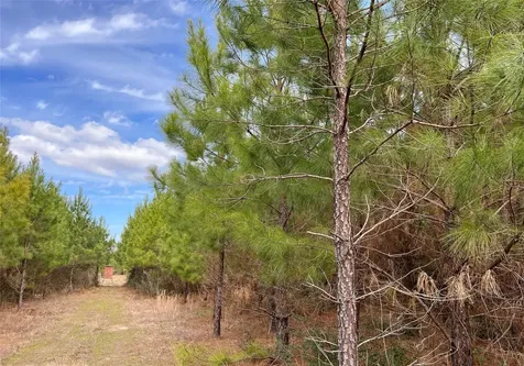 7 Fm 1746 Spurger TX 77660