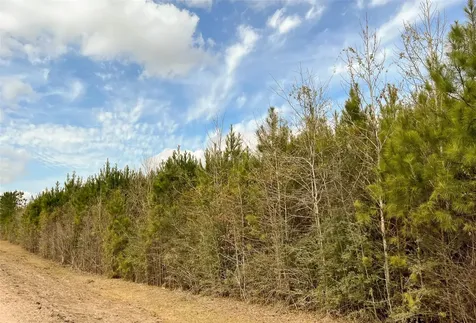 7 Fm 1746 Spurger TX 77660