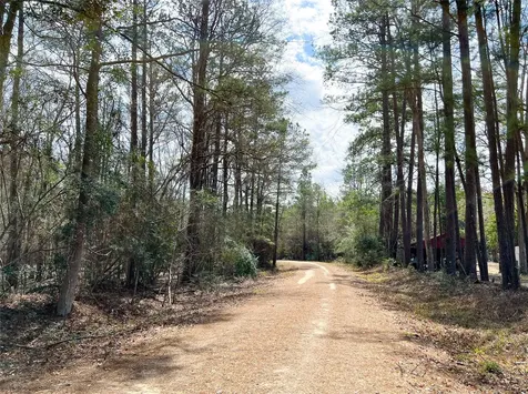 7 Fm 1746 Spurger TX 77660