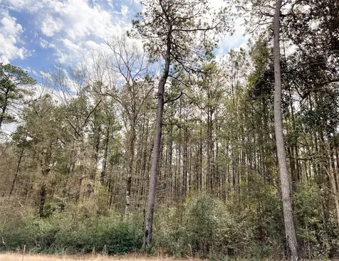 7 Fm 1746 Spurger TX 77660