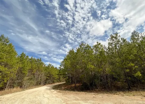 7 Fm 1746 Spurger TX 77660