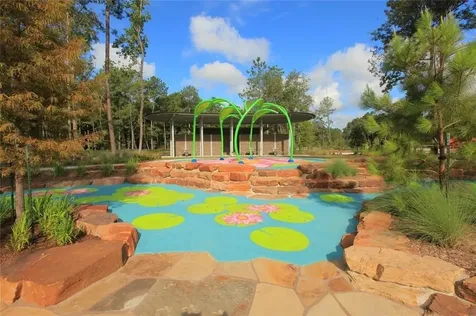 15623 Red Panda Road Conroe TX 77302