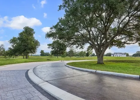 35618 Brassavola Terrace Simonton TX 77476