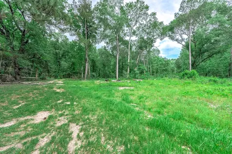 51 N Winter Creek Cleveland TX 77328