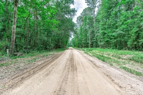 51 N Winter Creek Cleveland TX 77328