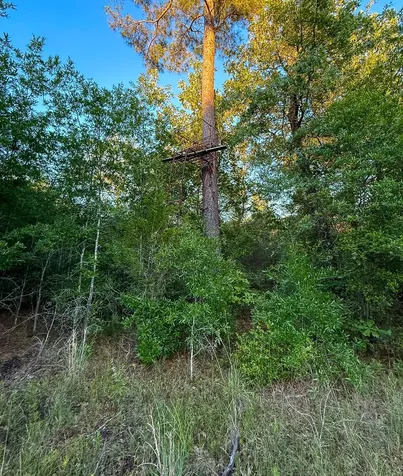 000 Fm 230 Lovelady TX 75851