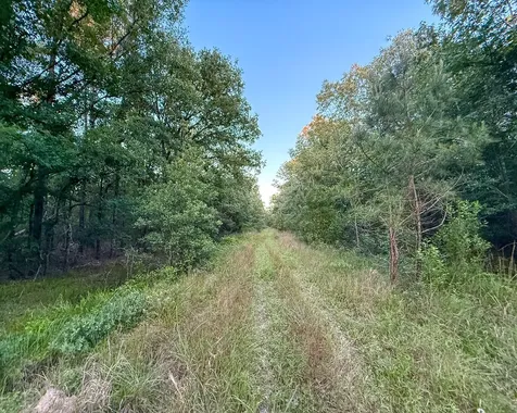 000 Fm 230 Lovelady TX 75851