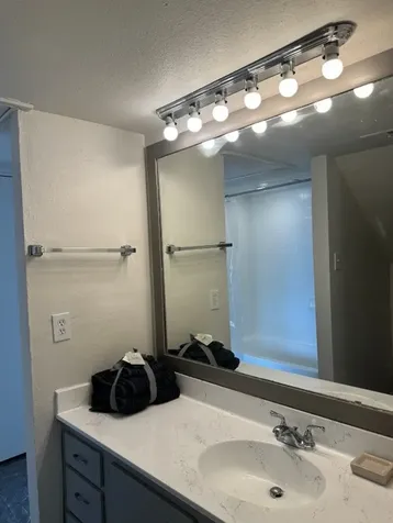 3130 Walnut Bend Ln Lane 424 Houston TX 77042