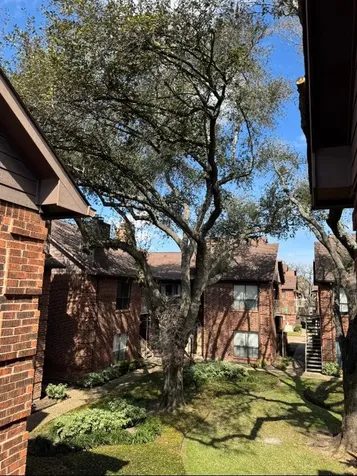 3130 Walnut Bend Ln Lane 424 Houston TX 77042
