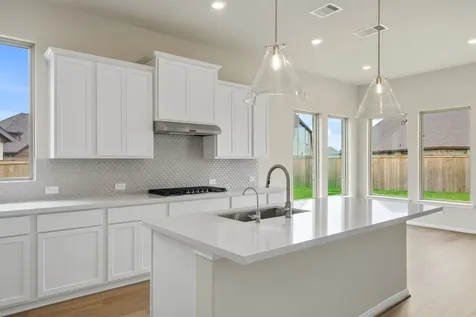 10706 Rattlebox Court Cypress TX 77433