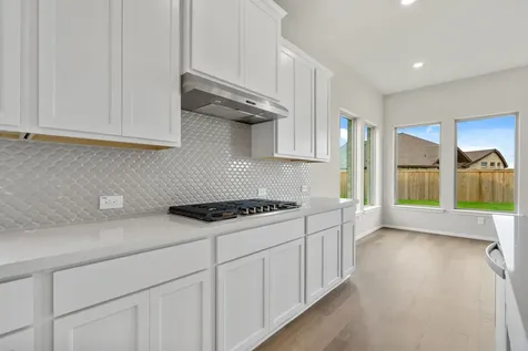 10706 Rattlebox Court Cypress TX 77433