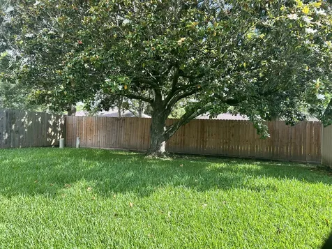 5105 Apple Springs Drive Pearland TX 77584