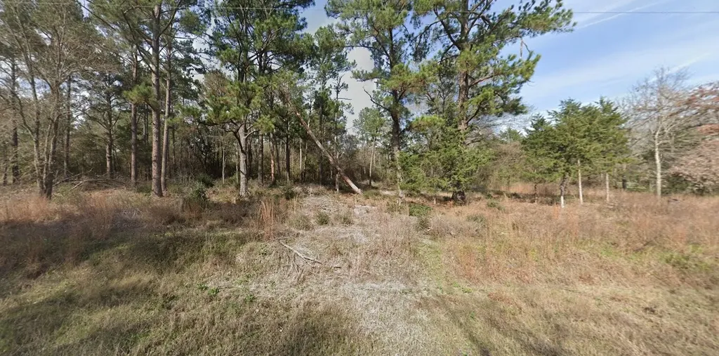 2699 County Road 144 Bedias TX 77831