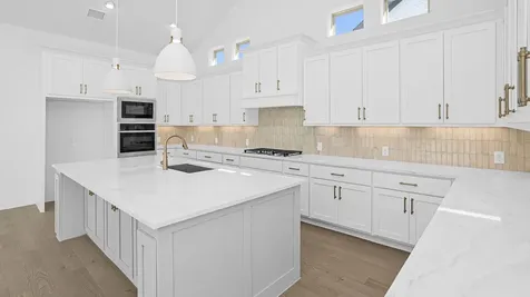 1227 Basset Hound Drive Montgomery TX 77316