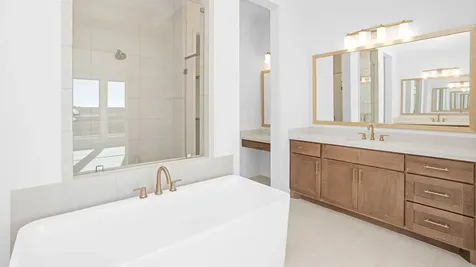 1227 Basset Hound Drive Montgomery TX 77316