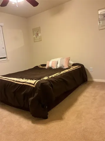 13915 Early Dew Court Houston TX 77045
