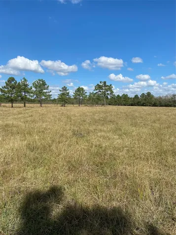 1439 Fm-770 Liberty TX 77575