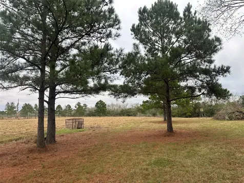 1439 Fm-770 Liberty TX 77575
